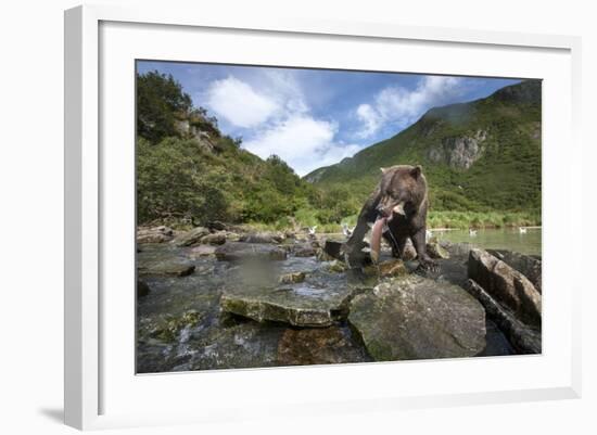 Brown Bear and Salmon, Katmai National Park, Alaska-Paul Souders-Framed Photographic Print