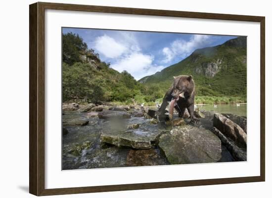 Brown Bear and Salmon, Katmai National Park, Alaska-Paul Souders-Framed Photographic Print