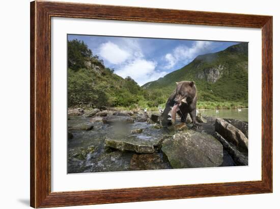 Brown Bear and Salmon, Katmai National Park, Alaska-Paul Souders-Framed Photographic Print