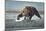 Brown Bear and Salmon, Katmai National Park, Alaska-Paul Souders-Mounted Photographic Print