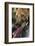 Brown Bear and Salmon, Katmai National Park, Alaska-null-Framed Photographic Print