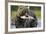 Brown Bear and Salmon, Katmai National Park, Alaska-Paul Souders-Framed Photographic Print