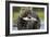 Brown Bear and Salmon, Katmai National Park, Alaska-Paul Souders-Framed Photographic Print