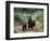 Brown Bear and Three Spring Cubs in Katmai National Park, Alaskan Peninsula, USA-Steve Kazlowski-Framed Photographic Print