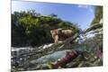 Photographic Print