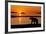 Brown Bear at Dawn, Katmai National Park, Alaska-Paul Souders-Framed Photographic Print