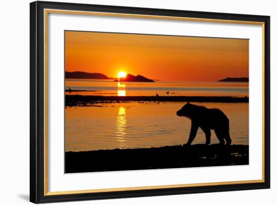 Brown Bear at Dawn, Katmai National Park, Alaska-Paul Souders-Framed Photographic Print