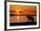 Brown Bear at Dawn, Katmai National Park, Alaska-Paul Souders-Framed Photographic Print