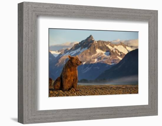 Brown Bear at Dawn, Katmai National Park, Alaska-Paul Souders-Framed Photographic Print