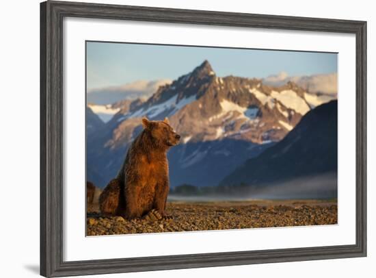 Brown Bear at Dawn, Katmai National Park, Alaska-Paul Souders-Framed Photographic Print