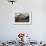 Brown Bear at Dawn, Katmai National Park, Alaska-Paul Souders-Framed Photographic Print displayed on a wall