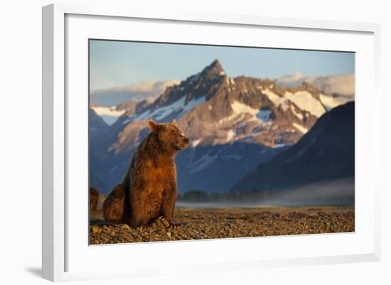 Brown Bear at Dawn, Katmai National Park, Alaska-Paul Souders-Framed Photographic Print