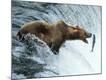 Premium Photographic Print