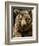 Brown Bear Close-Up Shot-NejroN Photo-Framed Photographic Print