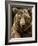 Brown Bear Close-Up Shot-NejroN Photo-Framed Photographic Print