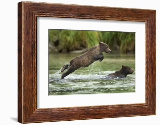 Brown Bear Cub, Katmai National Park, Alaska-Paul Souders-Framed Photographic Print