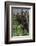 Brown Bear Cubs Close-Up-Art Wolfe-Framed Photographic Print