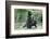 Brown Bear Cubs, Katmai National Park, Alaska-Paul Souders-Framed Photographic Print