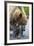 Brown Bear Fishing in Salmon Stream in Alaska-Paul Souders-Framed Photographic Print