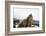 Brown Bear (Grizzly) (Ursus Arctos), Montana, United States of America, North America-Janette Hil-Framed Photographic Print