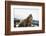 Brown Bear (Grizzly) (Ursus Arctos), Montana, United States of America, North America-Janette Hil-Framed Photographic Print