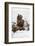 Brown Bear (Grizzly) (Ursus Arctos), Montana, United States of America, North America-Janette Hil-Framed Photographic Print