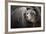 Brown Bear, Grizzly, Ursus Arctos, West Yellowstone, Montana-Maresa Pryor-Framed Photographic Print