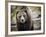 Brown Bear, Grizzly, Ursus Arctos, West Yellowstone, Montana-Maresa Pryor-Framed Photographic Print