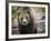 Brown Bear, Grizzly, Ursus Arctos, West Yellowstone, Montana-Maresa Pryor-Framed Photographic Print