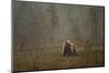 Brown bear in a snow shower, Finland-Danny Green-Mounted Photographic Print