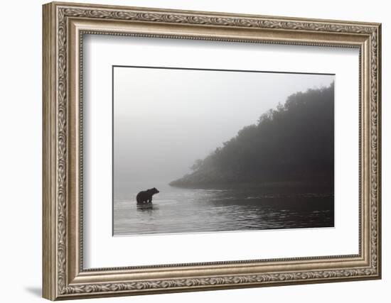 Brown Bear in Fog, Katmai National Park, Alaska-Paul Souders-Framed Photographic Print