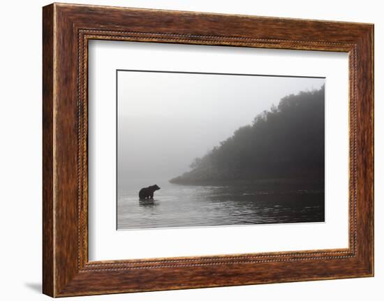 Brown Bear in Fog, Katmai National Park, Alaska-Paul Souders-Framed Photographic Print