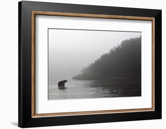 Brown Bear in Fog, Katmai National Park, Alaska-Paul Souders-Framed Photographic Print