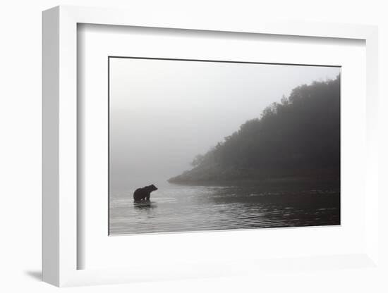 Brown Bear in Fog, Katmai National Park, Alaska-Paul Souders-Framed Photographic Print