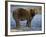 Brown Bear in Stream at Kukak Bay in Katmai National Park-Paul Souders-Framed Photographic Print