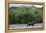 Brown Bear, Katmai National Park, Alaska-Paul Souders-Framed Premier Image Canvas