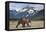 Brown Bear, Katmai National Park, Alaska-Paul Souders-Framed Premier Image Canvas