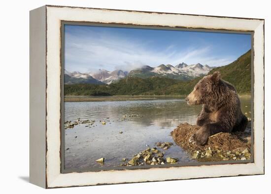 Brown Bear, Katmai National Park, Alaska-Paul Souders-Framed Premier Image Canvas