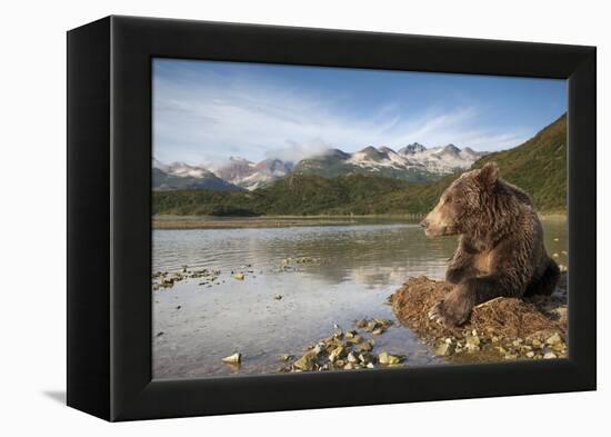 Brown Bear, Katmai National Park, Alaska-Paul Souders-Framed Premier Image Canvas