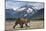 Brown Bear, Katmai National Park, Alaska-Paul Souders-Mounted Photographic Print