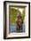 Brown Bear, Katmai National Park, Alaska-Paul Souders-Framed Photographic Print