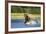 Brown Bear, Katmai National Park, Alaska-Paul Souders-Framed Photographic Print