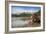 Brown Bear, Katmai National Park, Alaska-Paul Souders-Framed Photographic Print