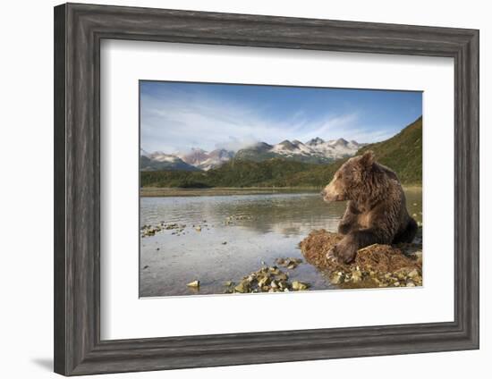 Brown Bear, Katmai National Park, Alaska-Paul Souders-Framed Photographic Print