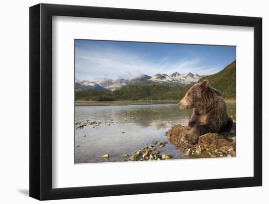 Brown Bear, Katmai National Park, Alaska-Paul Souders-Framed Photographic Print