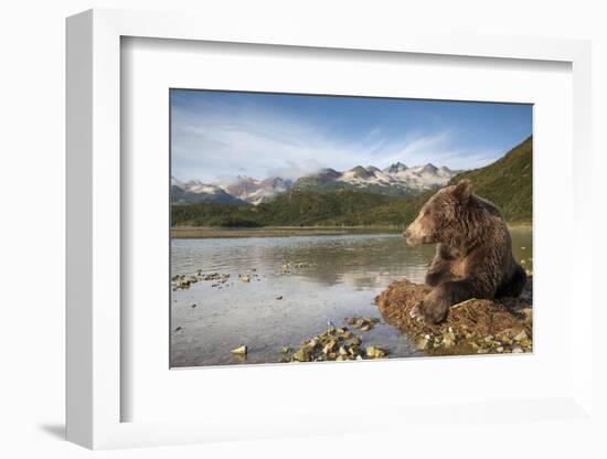 Brown Bear, Katmai National Park, Alaska-Paul Souders-Framed Photographic Print