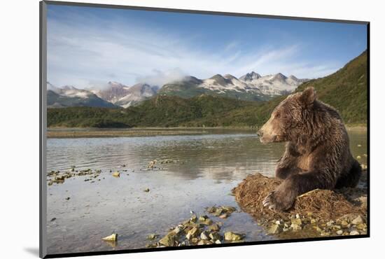 Brown Bear, Katmai National Park, Alaska-Paul Souders-Mounted Photographic Print