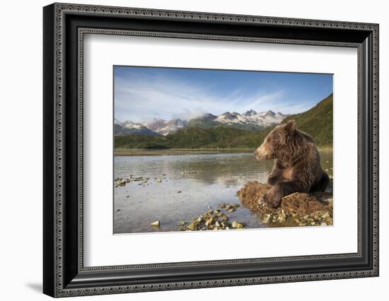 Brown Bear, Katmai National Park, Alaska-Paul Souders-Framed Photographic Print