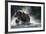 Brown Bear, Katmai National Park, Alaska-Paul Souders-Framed Photographic Print