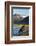 Brown Bear, Katmai National Park, Alaska-null-Framed Photographic Print